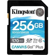 Kingston 256gb canvas for sale  Quarryville