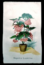 1857circa antica stampa usato  Pozzallo