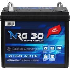 Starterbatterie 30ah aufsitzm� gebraucht kaufen  Mannheim