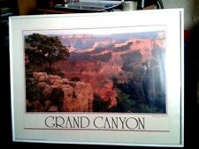 Tableau grand canyon d'occasion  Massy