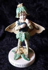 Flower fairies junge gebraucht kaufen  St Wendel