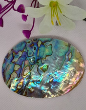 Perlmuttbrosche abalone musche gebraucht kaufen  Plau