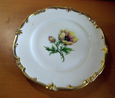 porzellan katharina gebraucht kaufen  Königslutter am Elm