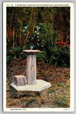 Vintage lithograph postcard for sale Vintage lithograph postcard for sale  Newberry
