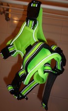 Hundegeschirr ausprobiert pass gebraucht kaufen  Wolmirstedt