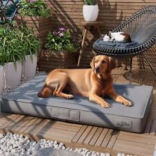 Large orthopedic dog for sale  LOUGHBOROUGH