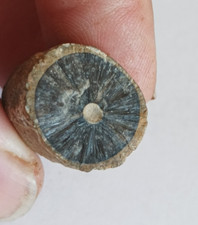 Pointe cassée bélemnite d'occasion  Lamalou-les-Bains