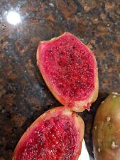 Sementes - Raro figo indiano de cacto comestível e fruta do dragão dourado - Divertido de cultivar comprar usado  Enviando para Brazil