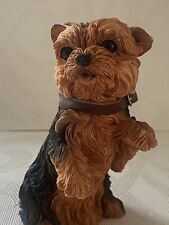 Barkers yorkshire terrier for sale  THETFORD