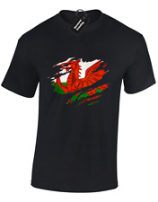Welsh flag slash for sale  MANCHESTER