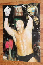 Steve austin the gebraucht kaufen  Bielefeld