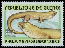 Guinea republic 2116 d'occasion  Expédié en Belgium