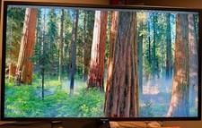Viewsonic uhd ips for sale  Buffalo Grove