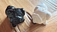 salt pepper pug for sale salt pepper pug for sale Fairhope
