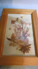 Bouquet fleurs sechees d'occasion  Vif