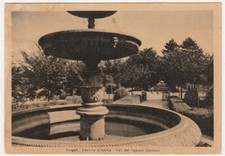 Cingoli macerata viali usato  Isola Vicentina