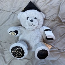 Graduation celebration teddy for sale  Ames
