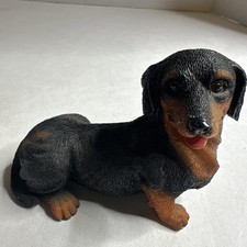 black dachshund tan for sale black dachshund tan for sale Momence