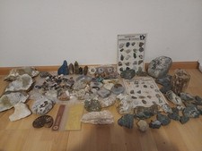 Mineralien kristalle pyrit gebraucht kaufen  Bad Säckingen