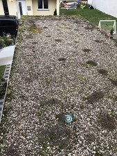 Kieselsteine 10kg gebraucht kaufen  Frankenthal