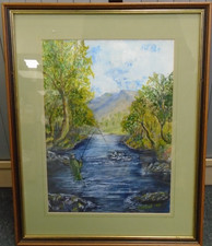 Framed watercolour fly for sale  MIRFIELD
