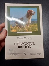 Epagneul breton nuova usato  Genova