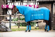 Equine microtec kühldecke gebraucht kaufen  Müden