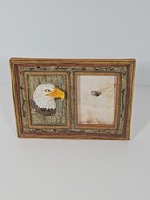 American bald eagle for sale  Denver