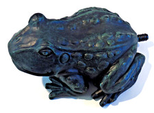 Pond frog spitter for sale  Hackensack