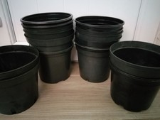 Plastic plant flower for sale  SWADLINCOTE