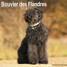Calendrier 2024 bouvier d'occasion  Troyes