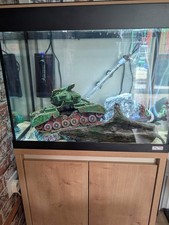 Fish tank for sale  CAMBORNE