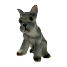 french bulldog cute puppies for sale  BANBURY