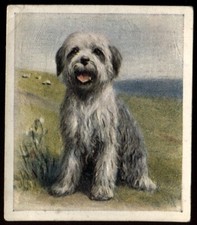 Tobacco card godfrey for sale  ASHFORD