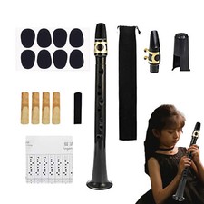 Taschensaxophon sax mini gebraucht kaufen  Euskirchen