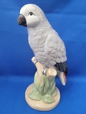 African grey parrot for sale  San Marcos