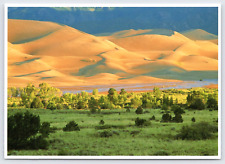 Pocztówka Colorado Medano Creek Great Sand Dunes Pomnik Narodowy na sprzedaż  Wysyłka do Poland