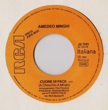 Giri amedeo minghi usato  Nichelino