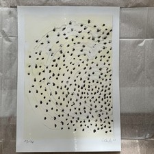 Günther uecker lithographie gebraucht kaufen  Flensburg