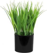 Fake plants indoors for sale  Shipping to United Kingdom