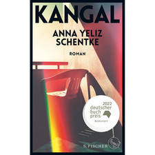 Kangal roman anna gebraucht kaufen  Berlin