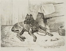 Klein philax liegender gebraucht kaufen  Frankfurt am Main