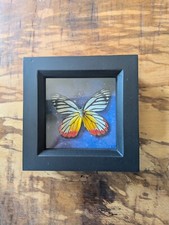 Framed taxidermy butterfly. for sale  BURY ST. EDMUNDS
