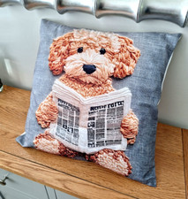 labradoodle for sale labradoodle for sale CAMBRIDGE