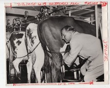 Dairy farmer milking for sale  EDINBURGH