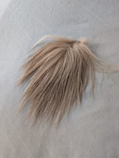 Beauty beast used for sale  HAVERHILL