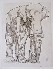Elephant etching paul d'occasion  Expédié en Belgium