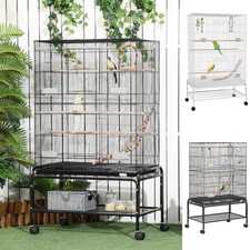 Budgie cage bird for sale Budgie cage bird for sale  GREENFORD