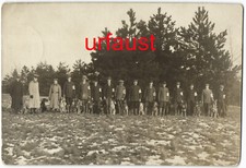 Cães de guerra e cães manipuladores da Cruz Vermelha Alemã da Primeira Guerra Mundial com foto de nome 1915 comprar usado  Enviando para Brazil