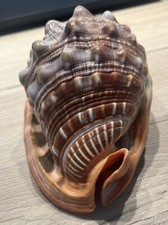 Riesengrosse wunderschöne mee gebraucht kaufen  Wiehl